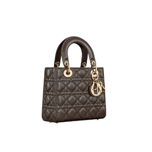 DIOR Small Lady Dior My ABCDior Bag (Brown)