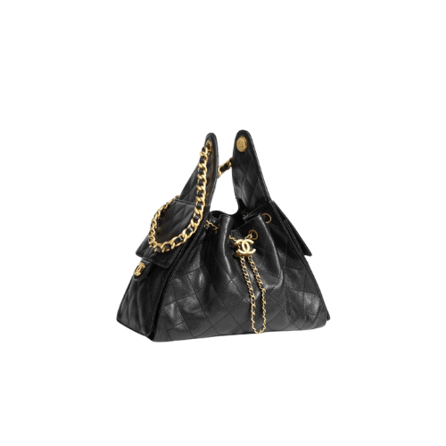 CHANEL Small 25 Hobo Canvas (Black)