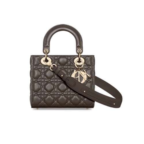 DIOR Small Lady Dior My ABCDior Bag (Brown)