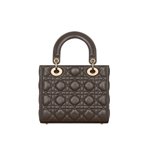 DIOR Small Lady Dior My ABCDior Bag (Brown)