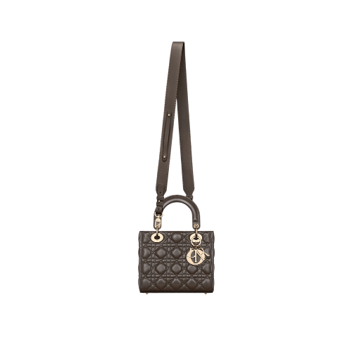 DIOR Small Lady Dior My ABCDior Bag (Brown)
