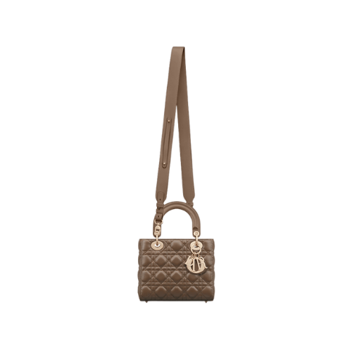 DIOR Small Lady Dior My ABCDior Bag (Tobacco Brown)
