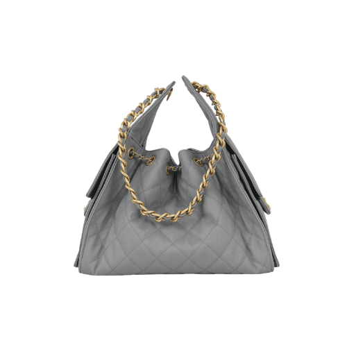 CHANEL Small 25 Hobo Canvas (Grey)