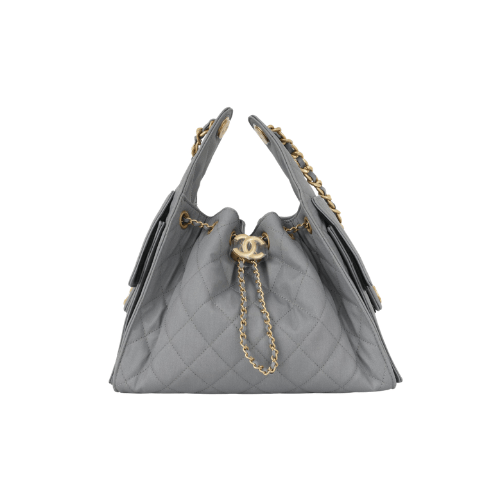 CHANEL Small 25 Hobo Canvas (Grey)
