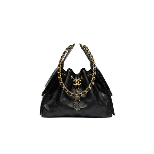 CHANEL Small 25 Hobo Canvas (Black)
