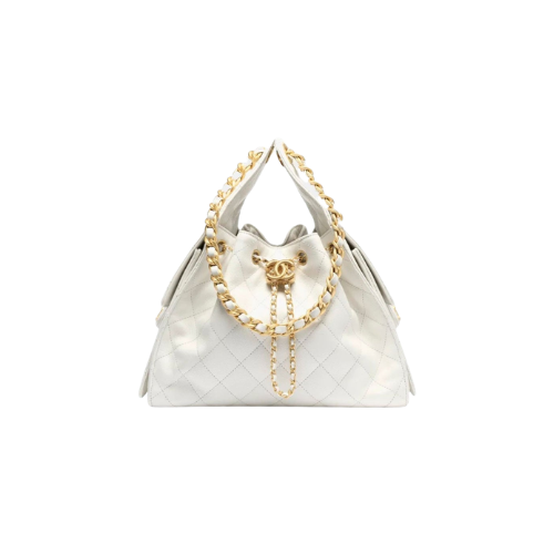 CHANEL Small 25 Hobo Canvas (White)