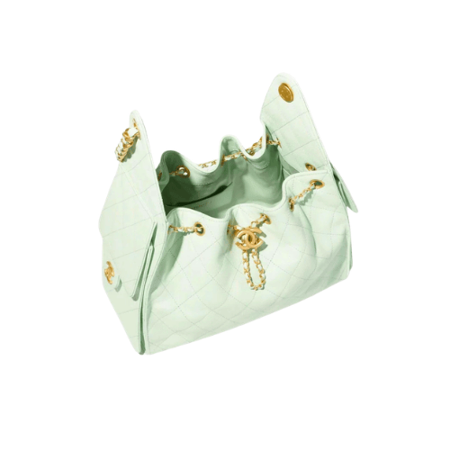 CHANEL Small 25 Hobo Canvas (Mint Green)