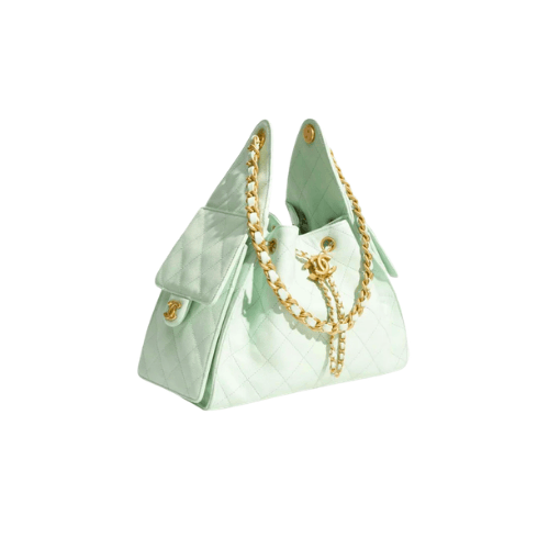 CHANEL Small 25 Hobo Canvas (Mint Green)