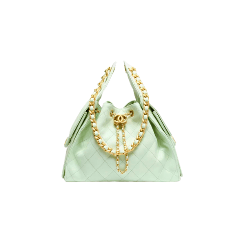CHANEL Small 25 Hobo Canvas (Mint Green)
