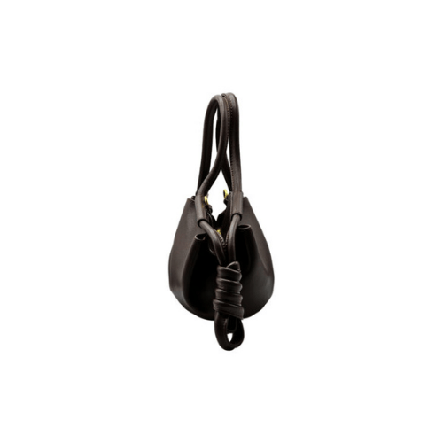 LOEWE Paseo small leather top handle bag (Dark Brown)