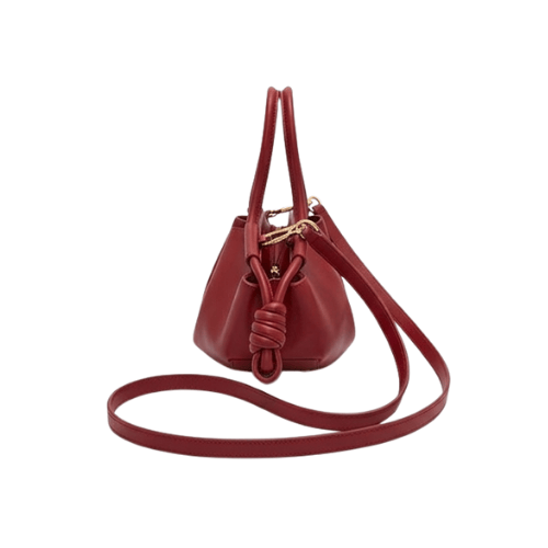 LOEWE Paseo calfskin leather Red