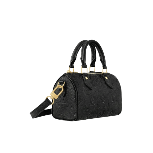 LV Nano Speedy Handbag Monogram
