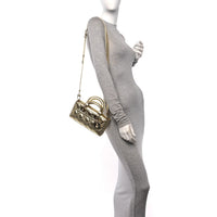 DIOR Lady D-Joy bag cannage calfskin (Gold)