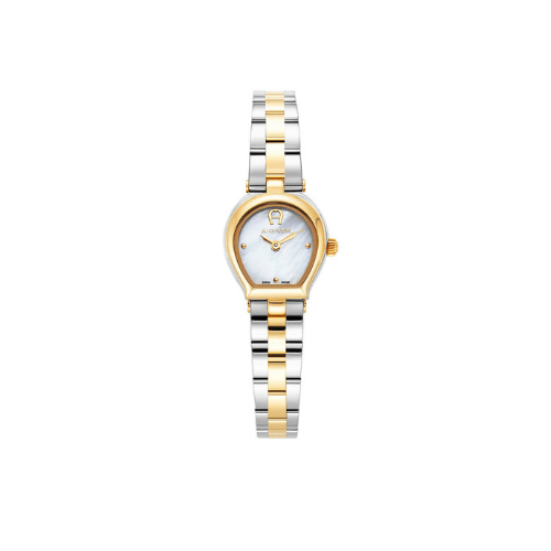 Aigner Trani Watch Silver/Gold